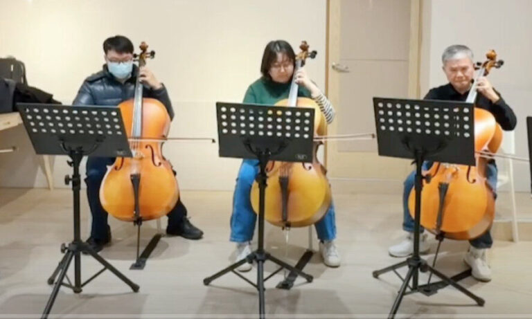 Read more about the article 成人大提琴團員｜演奏神鬼奇航主題曲